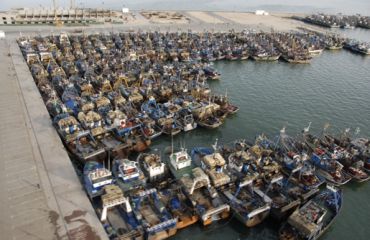 western_sahara_harbour_370.jpg