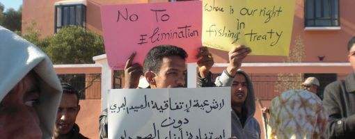 saharawi-demo_fish_feb2011_510.jpg