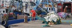 tn_moroccan_fishermen_unloading_driftnets_510.jpg