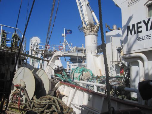 meya_dakhla_1_510.jpg