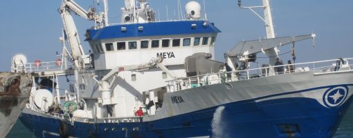 meya_dakhla_510.jpg